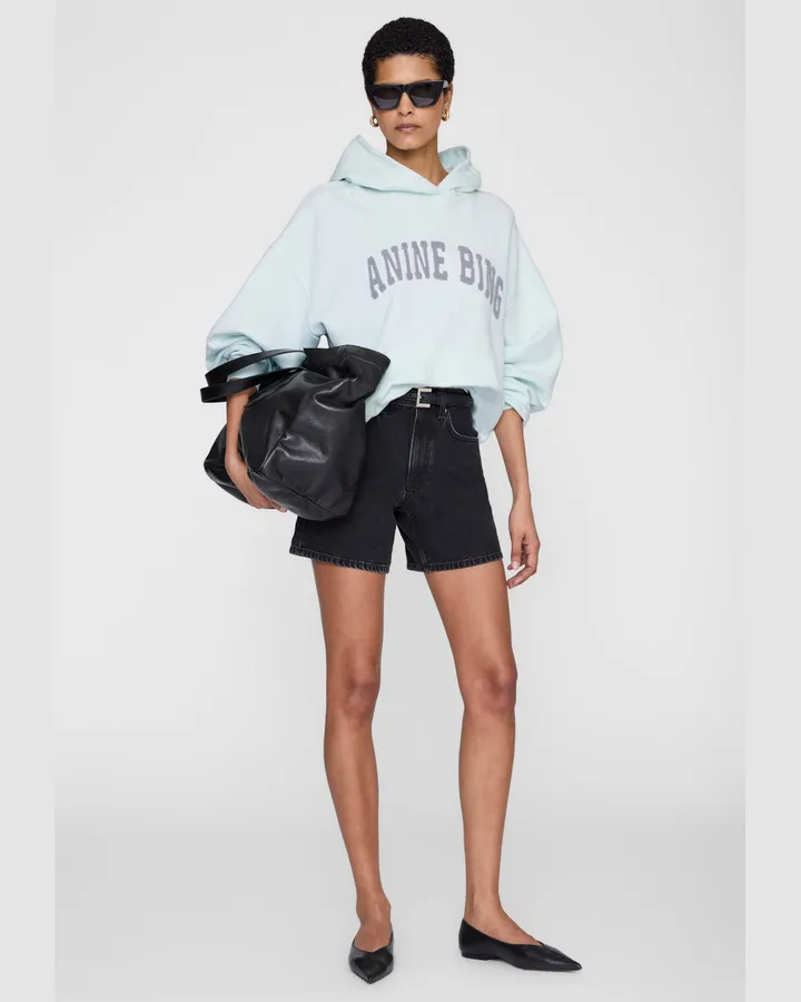 Arch Logo Hoodie, Seafoam — Anine Bing